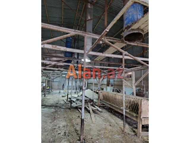 Memmedli qesebesinde 1200kv anbar icareye verilir