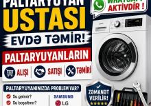 Paltaryuyan Ustası Temiri