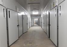 Broler  Ross308  Cuce Satilir