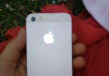 Apple iPhone 5 S