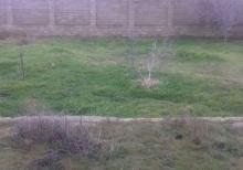 Badamdar qəs., 70 m² 2otaqlı