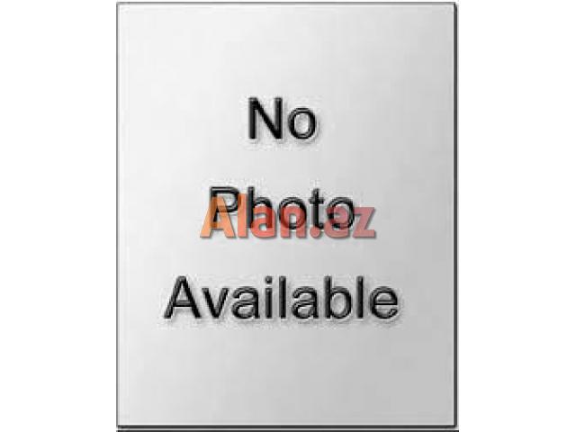 GENCLIK TEYMUR ELIYEV KUCESI