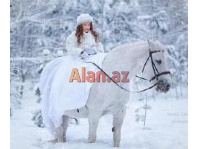 Qarqiz xanim teleb olnur