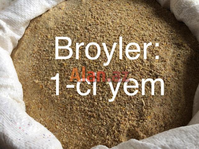 Yem fabriki (toyuq, cücə)