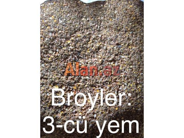 Yem fabriki (toyuq, cücə)