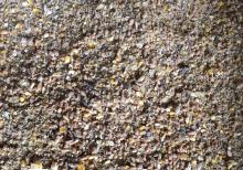 Yem fabriki (toyuq, cücə)