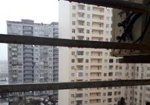 demir barmaqliqlar (reşotkalar)