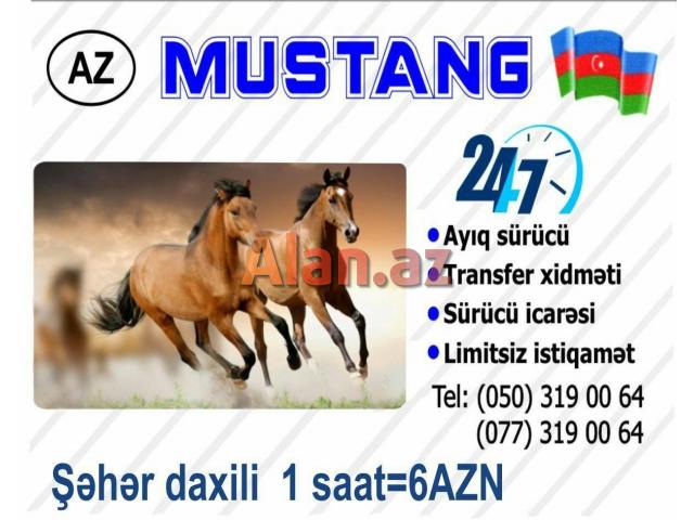 MUSTANG AYIQ SÜRÜCÜ XİDMƏTİ