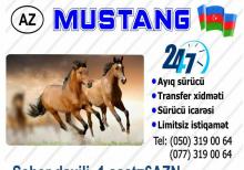 MUSTANG AYIQ SÜRÜCÜ XİDMƏTİ