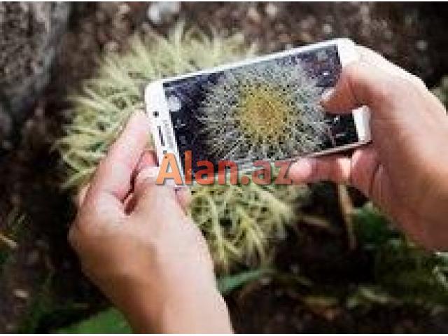 Samsung Galaxy S6 edge