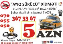Ayiq surucu xidmeti