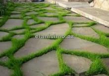 Qaya ve Çay daşları