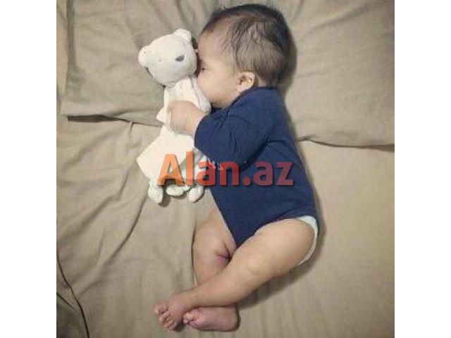 Daye isi axtariram tecili oz evimde baxiram