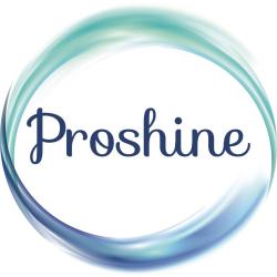 Proshine SErvice