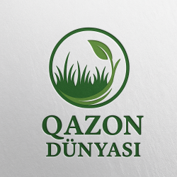 Qazon Dunyasi