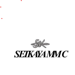 SETKAYA MMC